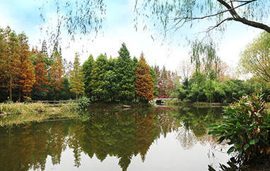 旅行片段整理成专题的方法