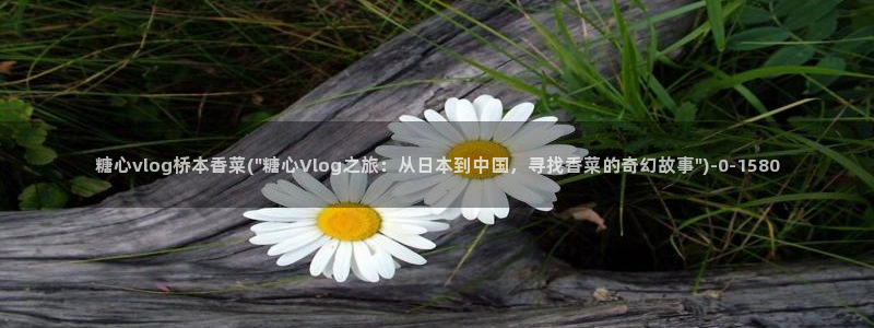 糖心vlog视频在线
