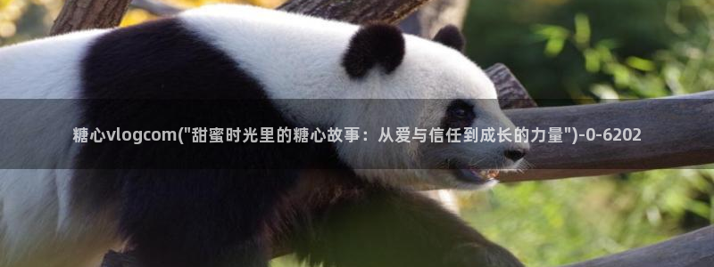 糖心出品vlog一区二区