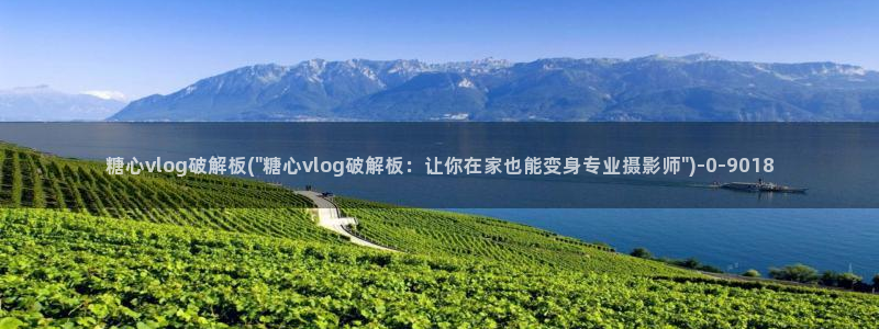 糖心v logo