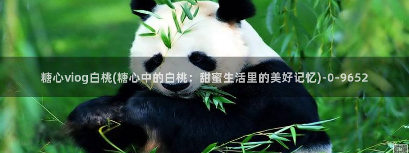 糖心vlog视频在线下载