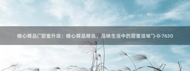 糖心vlog 星辰