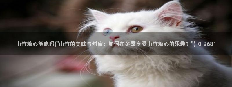 vlog糖心网站