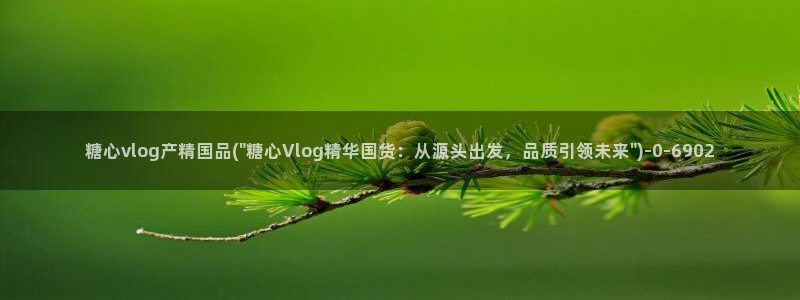 糖心vlog2026