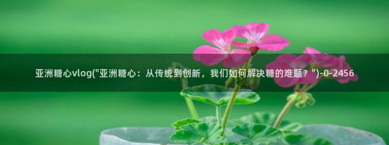 糖心vlog小水水