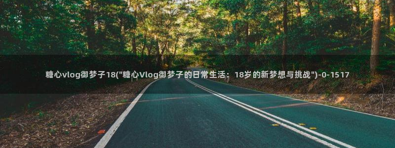 vlog糖心网站
