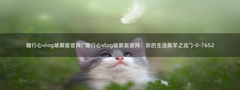 17c糖心vlog