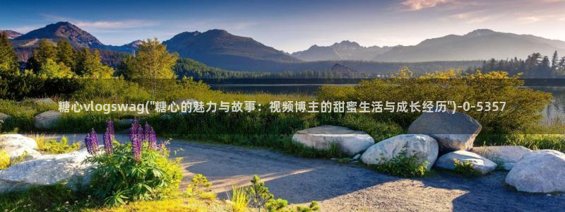 糖心官网vlog