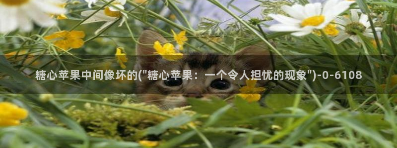 糖心vlog免费版下