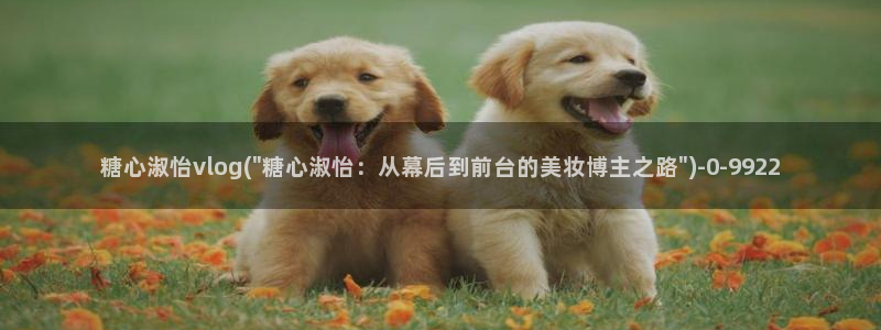 糖心vlog下载入口