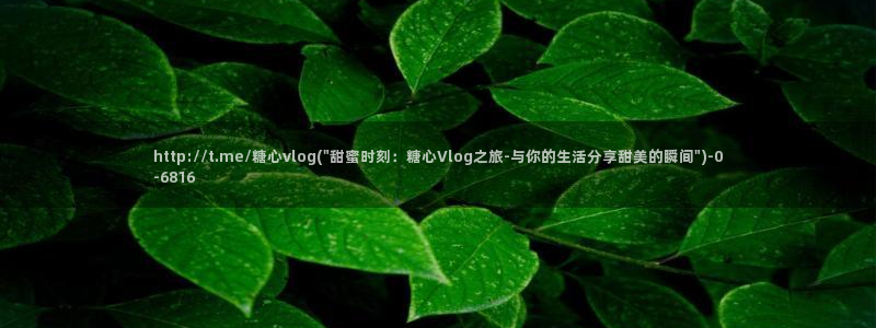 糖心vlog破解版免费观看